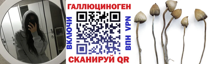 Галлюциногенные грибы ЛСД  Грязовец 